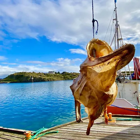 Charming Rorbu Stamsund Lofoten Exterior photo