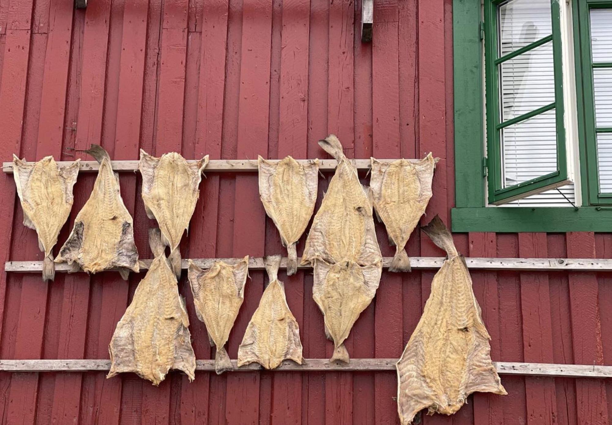 Charming Rorbu Lofoten *